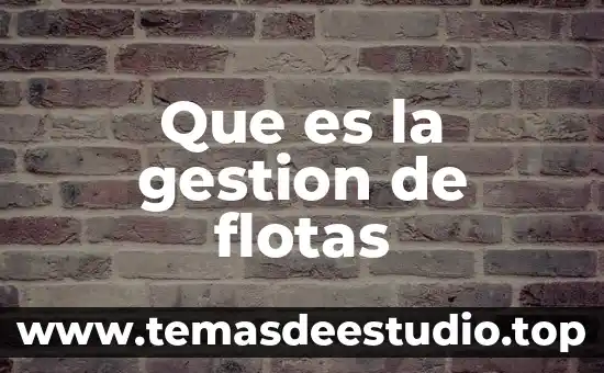 Qué es la gestión de riesgos concepto 7 Que es la gestion de flotas