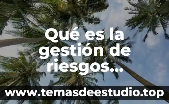 Que es gestion de la energia 4 Qué es la gestión de riesgos concepto
