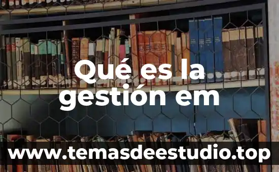 Qué es la gestión em