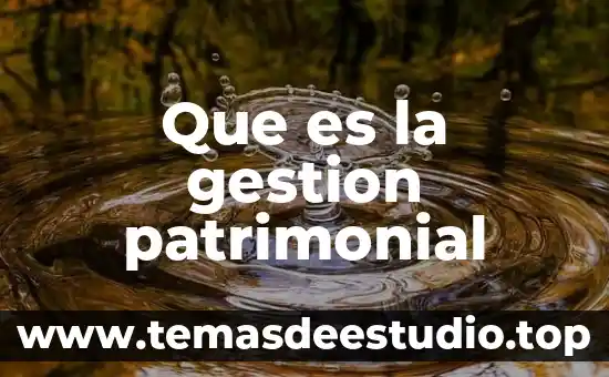 Qué es gestión de fondos 7 Que es la gestion patrimonial