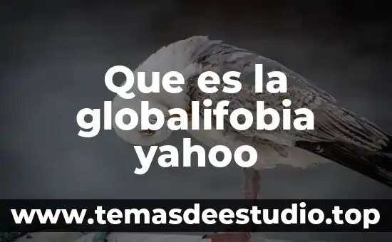 Que es la cultura romana yahoo 3 Que es la globalifobia yahoo