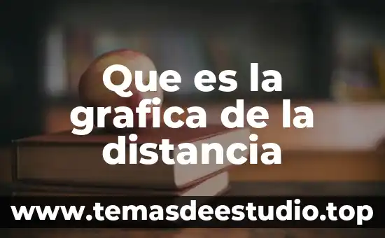 Que es grafica de apoyo dentro de la identidad isual 8 Que es la grafica de la distancia