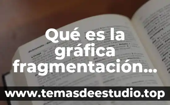Qué es una sociedad etópica 4 Qué es la gráfica fragmentación en la sociedad