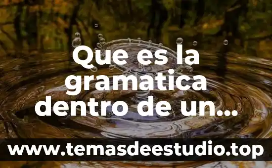 Que es la gramatica dentro de un ensayo