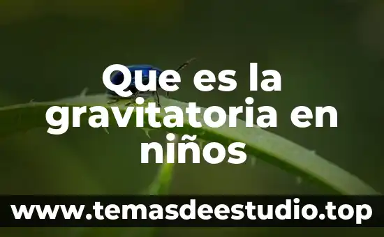 Que es la educacion significado para niños 8 Que es la gravitatoria en niños