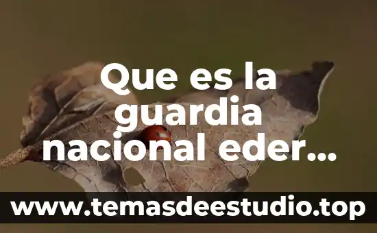 Que es la unidad de arte o unidad de invención 4 Que es la guardia nacional eder guevara