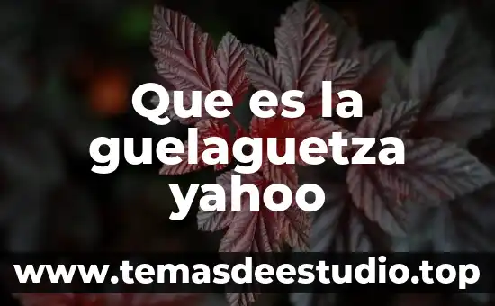 Que es la guelaguetza yahoo