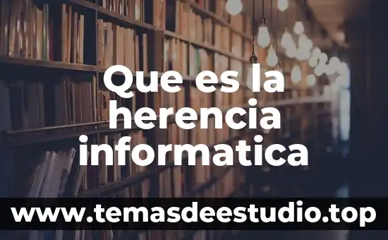 Que es la herencia informatica