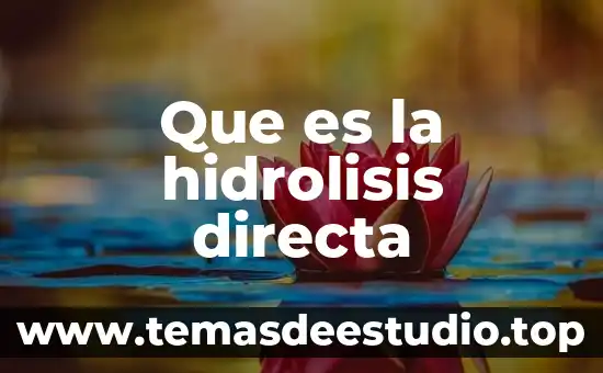 Inversión directa en México que es 6 Que es la hidrolisis directa