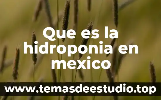 Que es representación gráfica de variable real 5 Que es la hidroponia en mexico