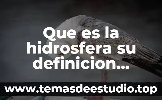 Qué es un juego didáctico definición 5 Que es la hidrosfera su definicion concepto y significado