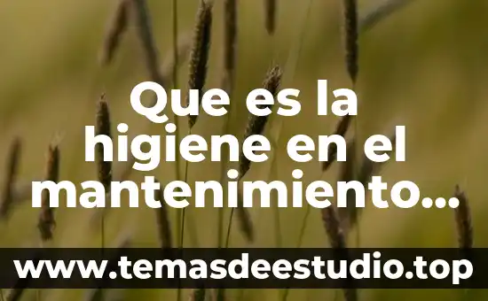 Que es la higiene en el mantenimiento de computadores