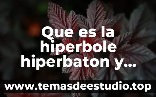 Que es prosopopeya para niños 3 Que es la hiperbole hiperbaton y prosopopeya ejemplos