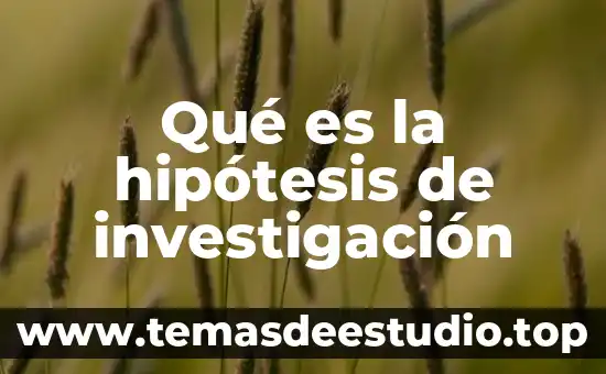 Mapa mental de que es una hipótesis 3 Qué es la hipótesis de investigación