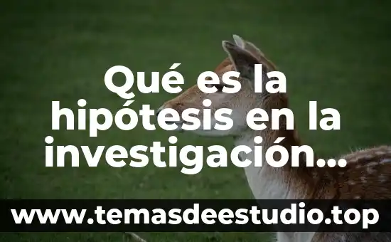 Que es la entrevista en la investigacion cualitativa 2016 7 Qué es la hipótesis en la investigación cualitativa