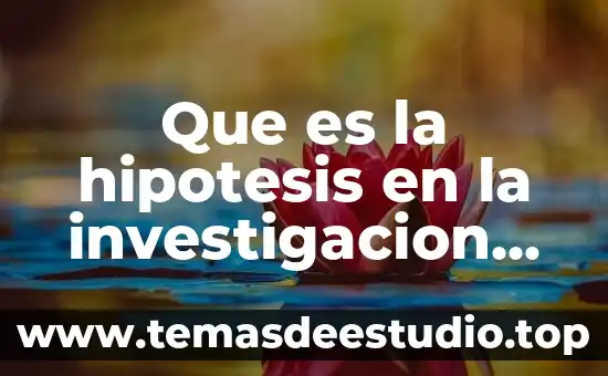 Qué es la hipótesis de investigación 4 Que es la hipotesis en la investigacion del metodo cientifico