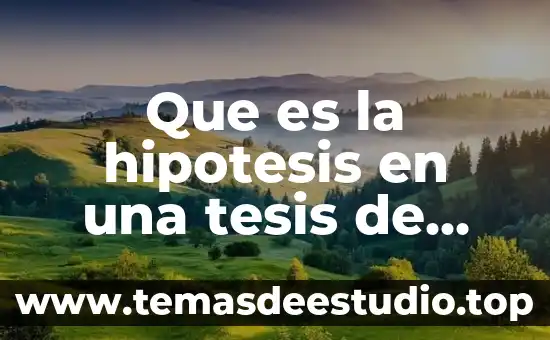 Qué es la hipótesis de investigación 5 Que es la hipotesis en una tesis de investigacion