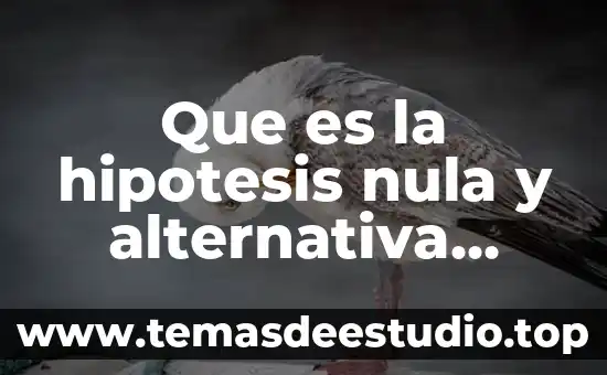 Que es el estoma y sus ejemplos 8 Que es la hipotesis nula y alternativa ejemplos spss