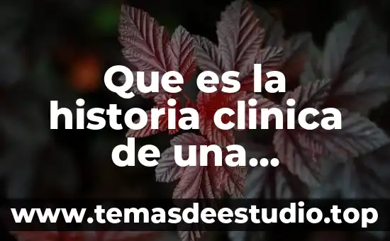 Que es la historia clinica geriatrica 8 Que es la historia clinica de una enfermedad
