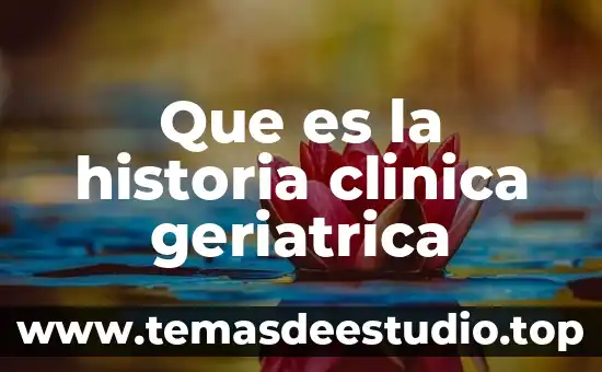Que es la historia clinica de una enfermedad 3 Que es la historia clinica geriatrica