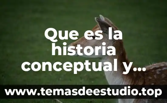 Qué es la estructura conceptual 6 Que es la historia conceptual y ejemplo