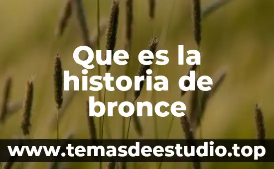 Que es la historia clinica de terapia 4 Que es la historia de bronce