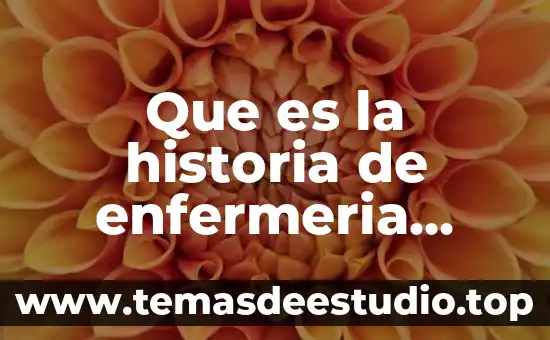Qué es c ocupada en enfermería 7 Que es la historia de enfermeria anamnesis