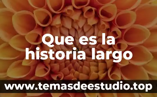 Introducción sobre que es historia para un ensayo 3 Que es la historia largo