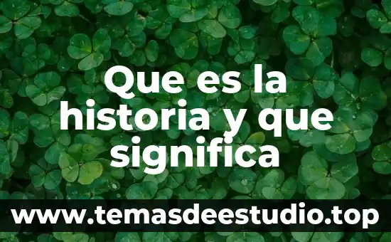 Que es la historia y que significa