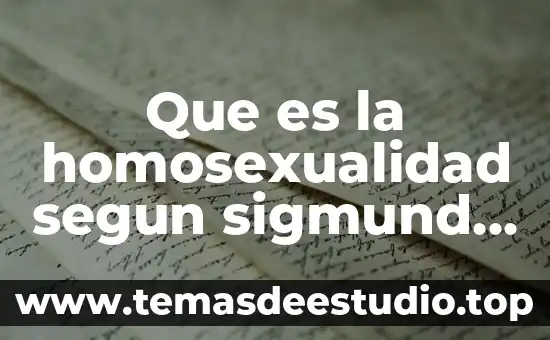 Qué significa conciencia moral según Freud 3 Que es la homosexualidad segun sigmund freud