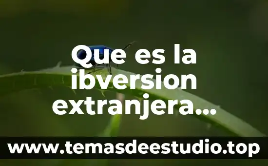 Qué es la sociedad extranjera 8 Que es la ibversion extranjera directa