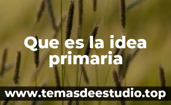 Que es un adjetivo 5to de primaria 8 Que es la idea primaria