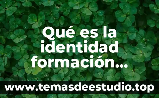 Concepto que es la formacion civica 5 Qué es la identidad formación cívica y ética
