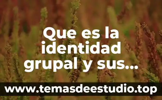 Que es desarrollo grupal 6 Que es la identidad grupal y sus caracteristicas
