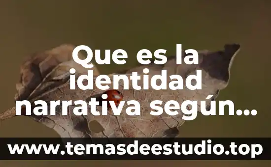 Que es el espacio en narrativa 6 Que es la identidad narrativa según ricoeur