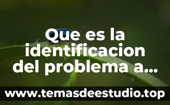 Qué es un software para resolver problemas 8 Que es la identificacion del problema a resolver