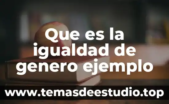 Que es igualdad y justicia en filosofia 7 Que es la igualdad de genero ejemplo