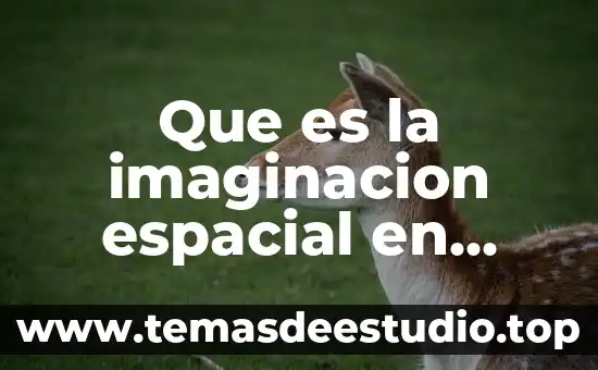 Que es la moda y la media en matematicas 7 Que es la imaginacion espacial en matematicas