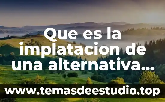 Que es la implatacion de una alternativa ejemplo