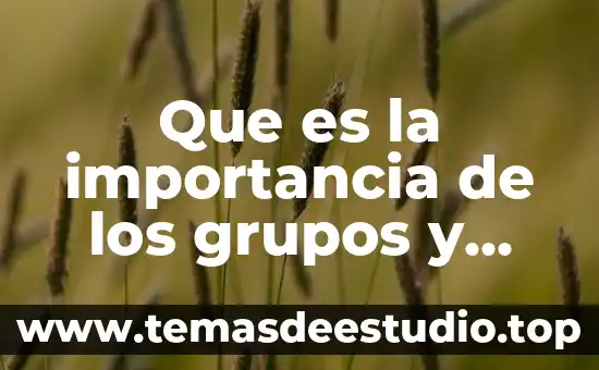 Grupos balint que es 8 Que es la importancia de los grupos y asociaciones