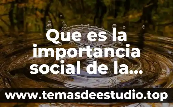 Ser social y sociedad que es ser ético 5 Que es la importancia social de la investigación