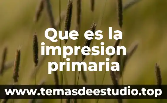Que es el dinero para niños de primaria primer grado 5 Que es la impresion primaria