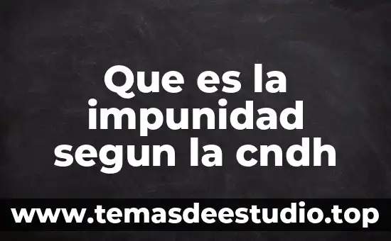 Qué es el hombre según la filosofía griega 6 Que es la impunidad segun la cndh