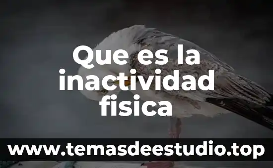 Que es indagar significado 8 Que es la inactividad fisica