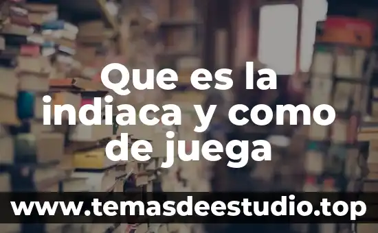 Qué es handball como se juega y sus reglas 5 Que es la indiaca y como de juega
