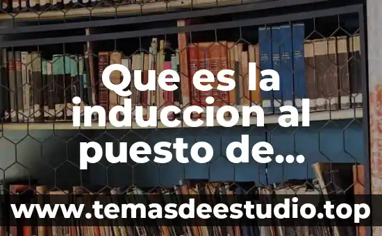 Que es medidas y datos que contiene ficha de trabajo 7 Que es la induccion al puesto de trabajo