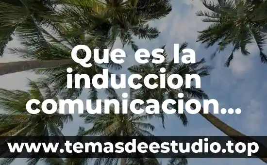 Qué es la inducción electromagnética de física 8 Que es la induccion comunicacion oral