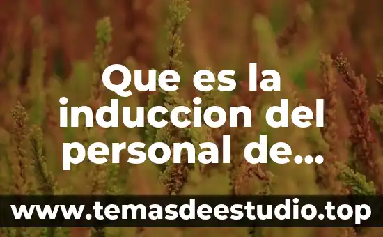 Qué es la inducción electromagnética de física 7 Que es la induccion del personal de nuevo ingreso