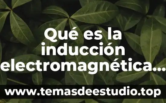 Que es una inducción de personal 5 Qué es la inducción electromagnética de física