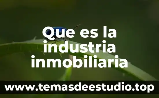 Que es una sociedad inmobiliaria 4 Que es la industria inmobiliaria